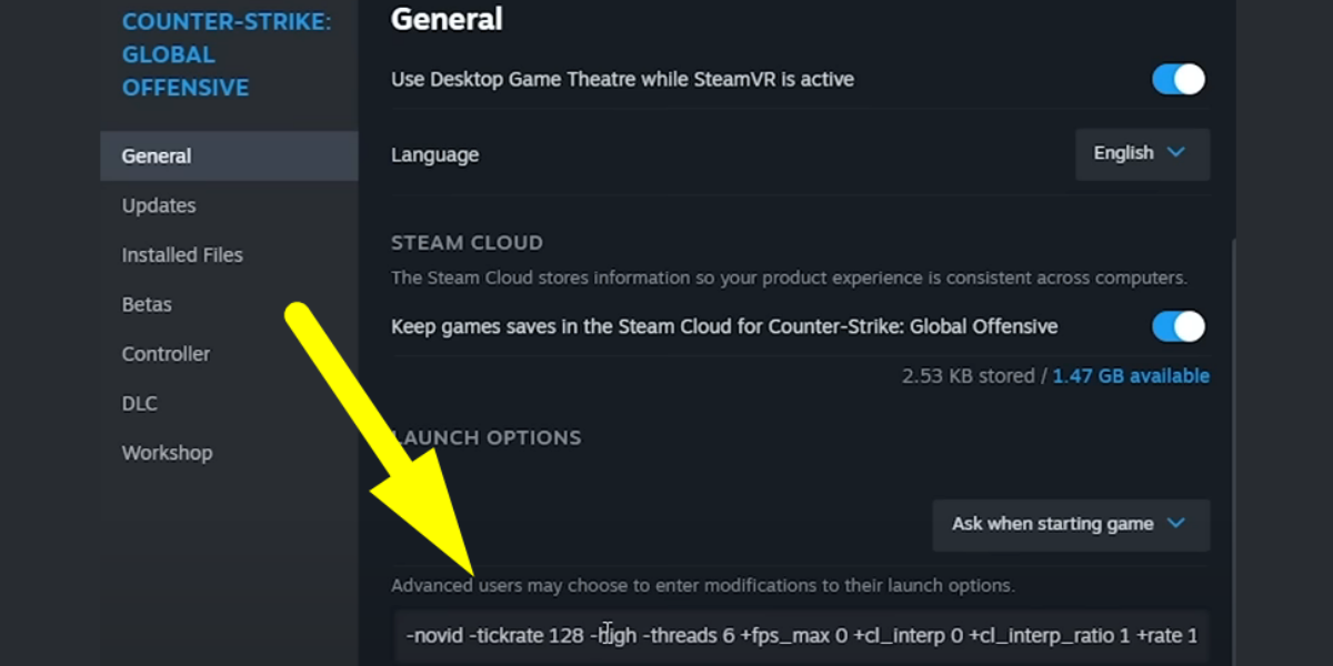 Counter-Strike 2 Launch Options