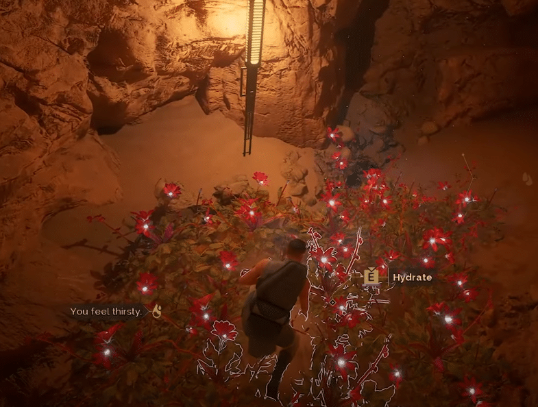 Dew Fields in Dune Awakening: Starter Guide + Tips & Tricks