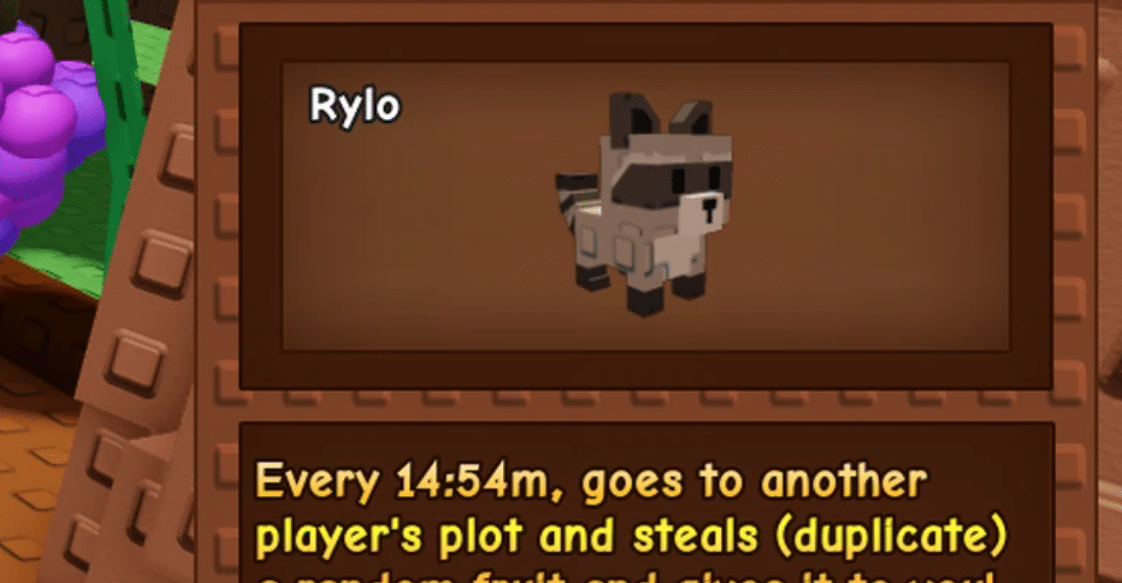 Using Raccoon pet in Grow a Garden.