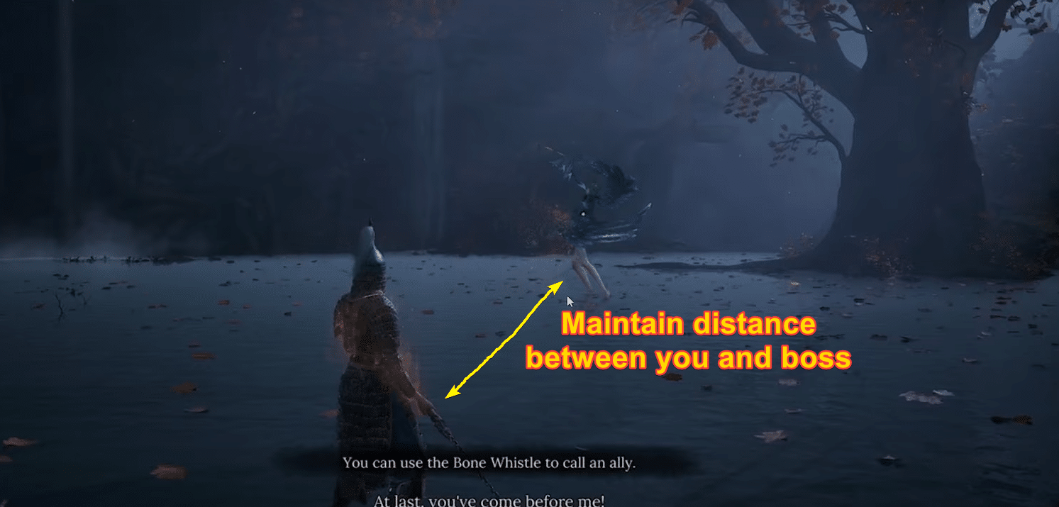 Maintaining distance Wuchang Fallen Feathers
