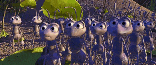 Ants meme.